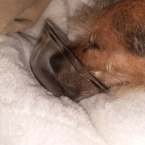 Meet your Posher, Marty